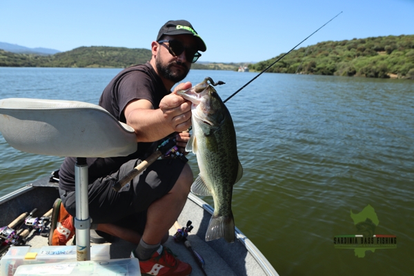 big bass on casting gear from sardinia island