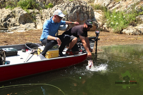 action fishing big black bass in sardinia