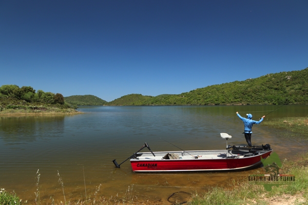 trophy black bass fly fishing in Sardinia