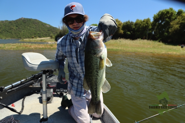 trophy black bass fly fishing in Sardinia