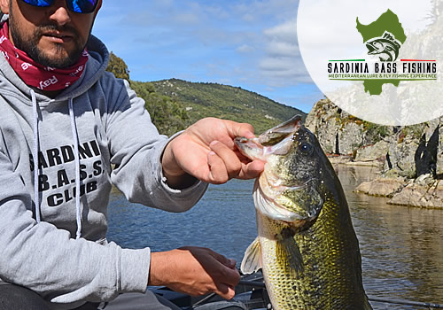 big black bass from sardinia