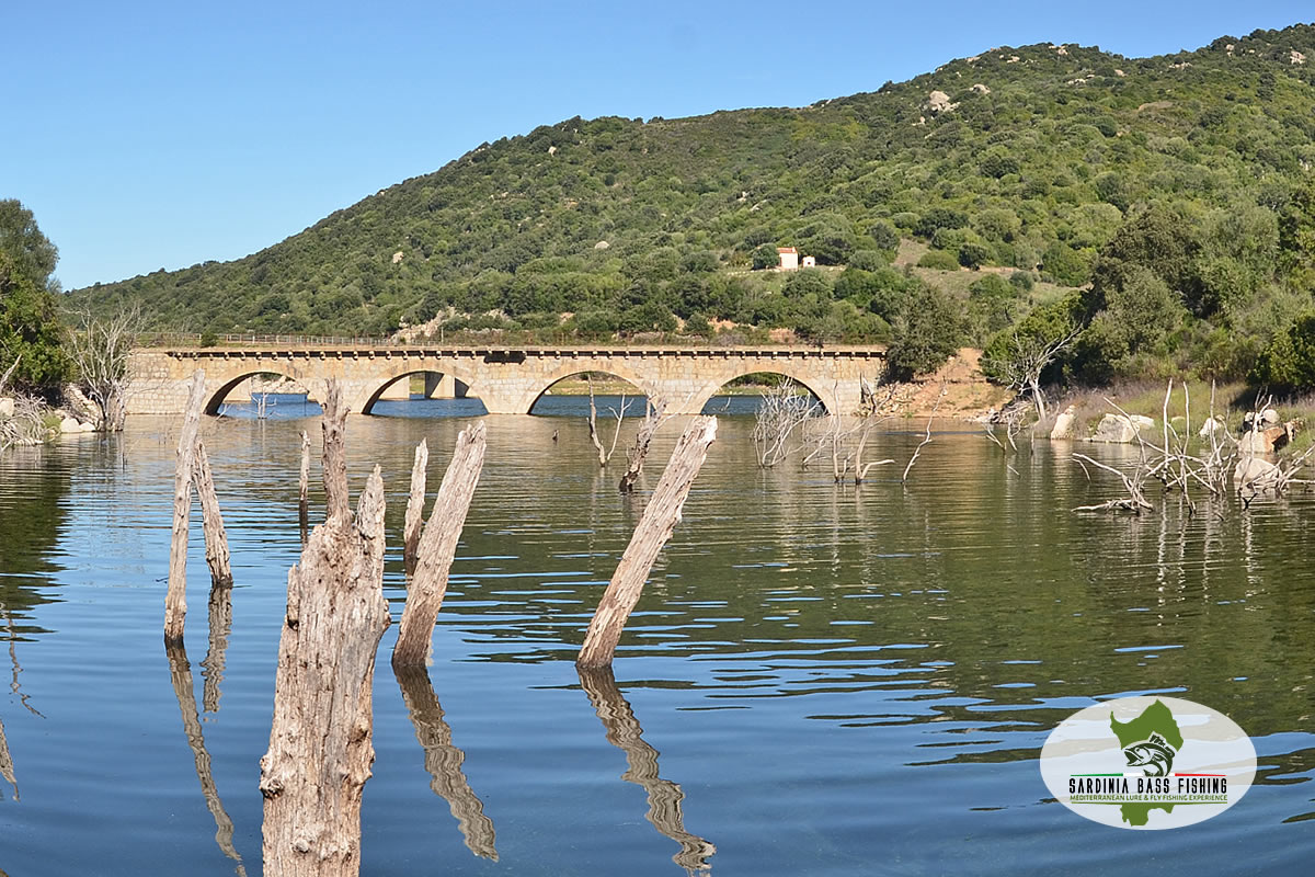 lago liscia sardegna bass fishing