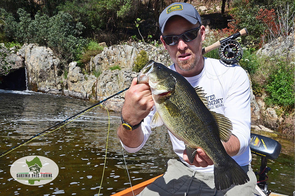 black bass sardinia fly fishing