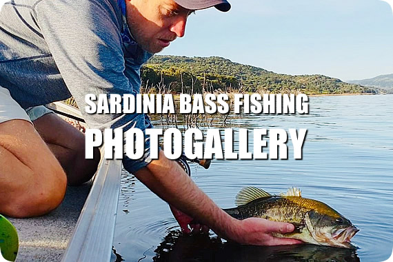 sardinia bass fishing gallery
