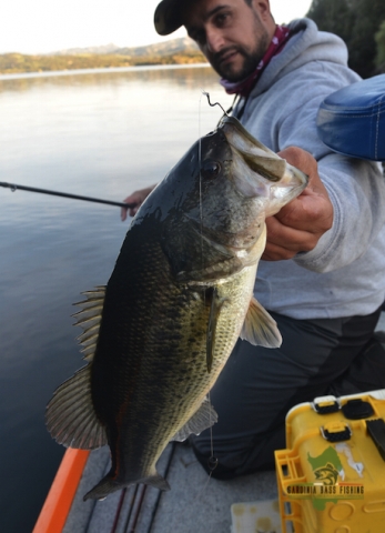 sardinia fishing for bass tours lakes