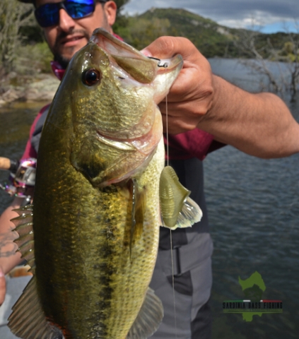 baitcasting rod for black bass sardinia