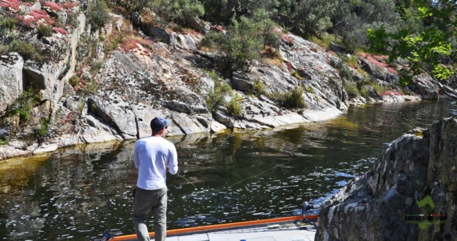 bass on the fly rod sardinia